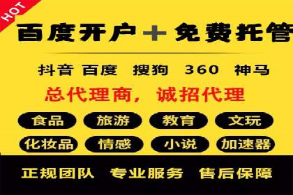 案例解析：SEM投放助力电商增长